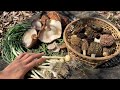 雑草と高級キノコで牛もつ鍋したら旨すぎた 野草きのこ採り ノビル、アミガサタケ