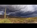 Rain in the desert shofar