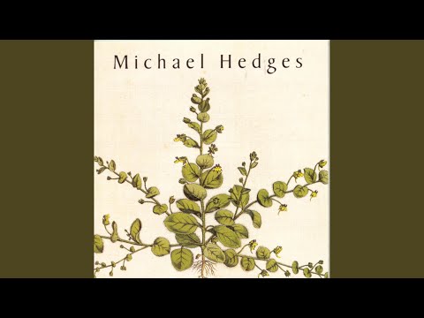 Michael Hedges — The Rootwitch