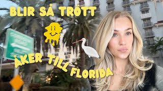 FLORIDA VLOG - VAD GJORDE JAG HÄR FÖR 8 ÅR SEN?