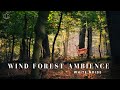 ♫ 乾淨無廣告 ♫ ASMR 白噪音 - 清晨的森林 - 滿滿正能量大自然聲音 ASMR Ambience Morning Forest