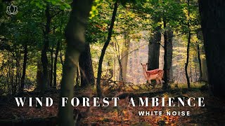 ♫ 乾淨無廣告 ♫ ASMR 白噪音 - 清晨的森林 - 滿滿正能量大自然聲音 ASMR Ambience Morning Forest