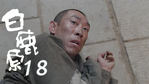 白鹿原 | White Deer 18【DVD版】（张嘉译、秦海璐、何冰等主演） - 天天要闻
