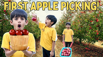 Apple Picking For Kids | Jay & Neil