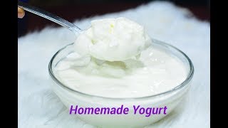 How To Make Yogurt (Without A Yogurt Maker) | Afropotluck