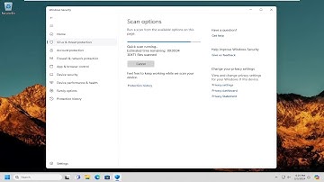 How To Remove The “Puabundler:WIN32” Virus in Windows 11/10 [Guide]