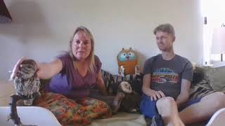 Ugletid - Live Fra Naturmødet 2021