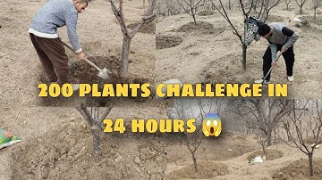 I tried challenge of 200 plants in 24 hours😱