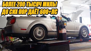 картинка: Самый дешевый Shelby GT500 в США с пробегом 210 тысяч миль, который ВАЛИТ!