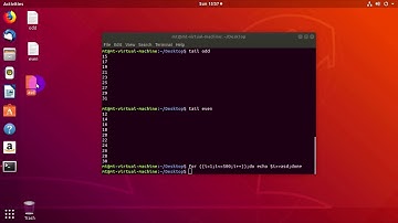 How to Use Head and Tail Command in Linux Terminal | Basic Linux Commands | Head and Tail Command