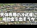 渋滞と戦うため道路一本でプレイしたら通勤に半年かかる街が出来たシティーズスカイラインズ