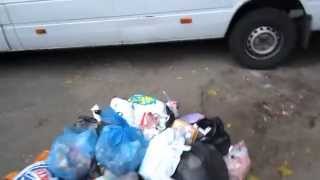 Днепркомунтранс поздравляет новобрачных кучей мусора Днепркомунтранс поздравляет новобрачных кучей мусора