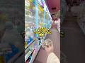 お年玉1000円分はゲーセンへ🕹#クレーンゲーム #clawmachine #クレゲ #お年玉の使い道