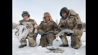 видео: Трофейные рыбы Себяна. Это рай для рыбака. картинка: Трофейные рыбы Себяна. Это рай для рыбака.
