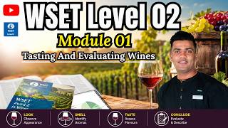 WSET Level 2 Award in Wines Preparation | Module 01 | Tasting & Evaluating Wine #wset #wine #sat