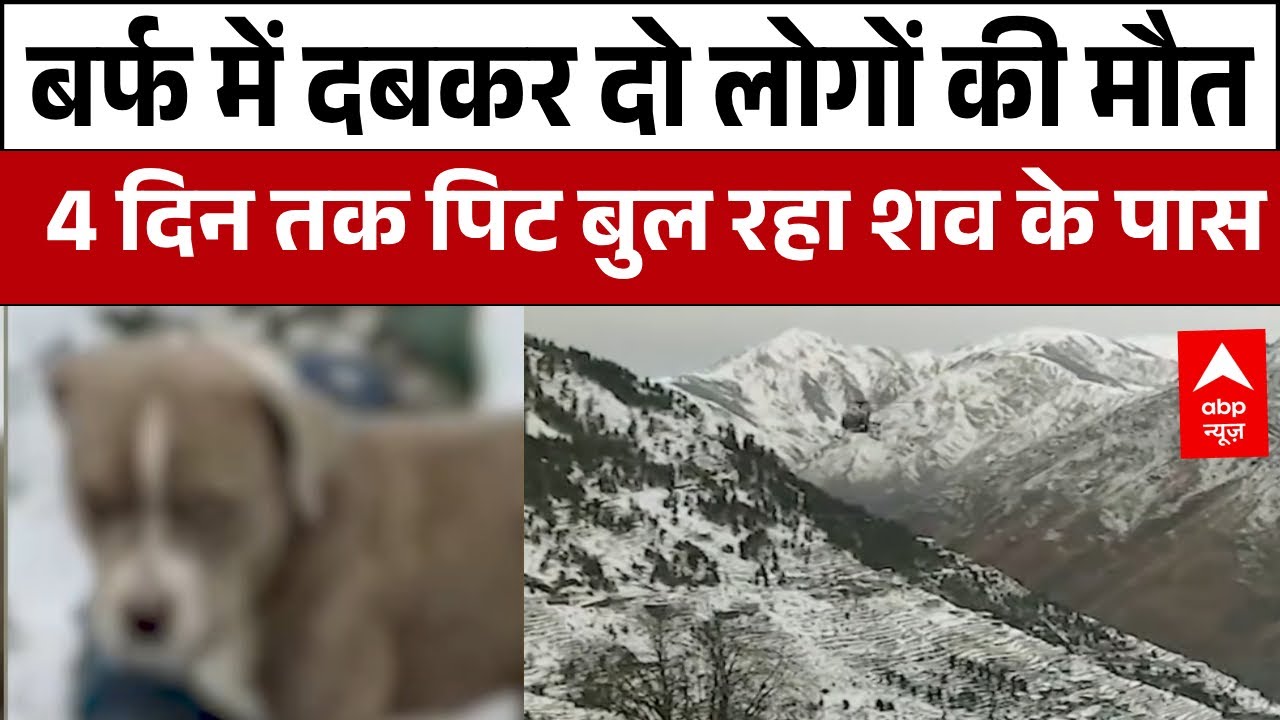 HP News: Chamba में भारी बर्फबारी से दो लोगों की मौत   | Snow Fall | News