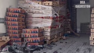 Nearly 500 pounds of meth found hidden in shipment of berries, DEA says