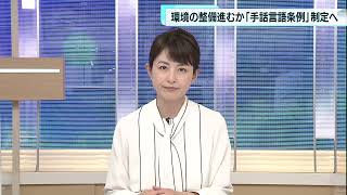 東京都議会　パートナーシップ宣誓制度・手話言語条例が成立