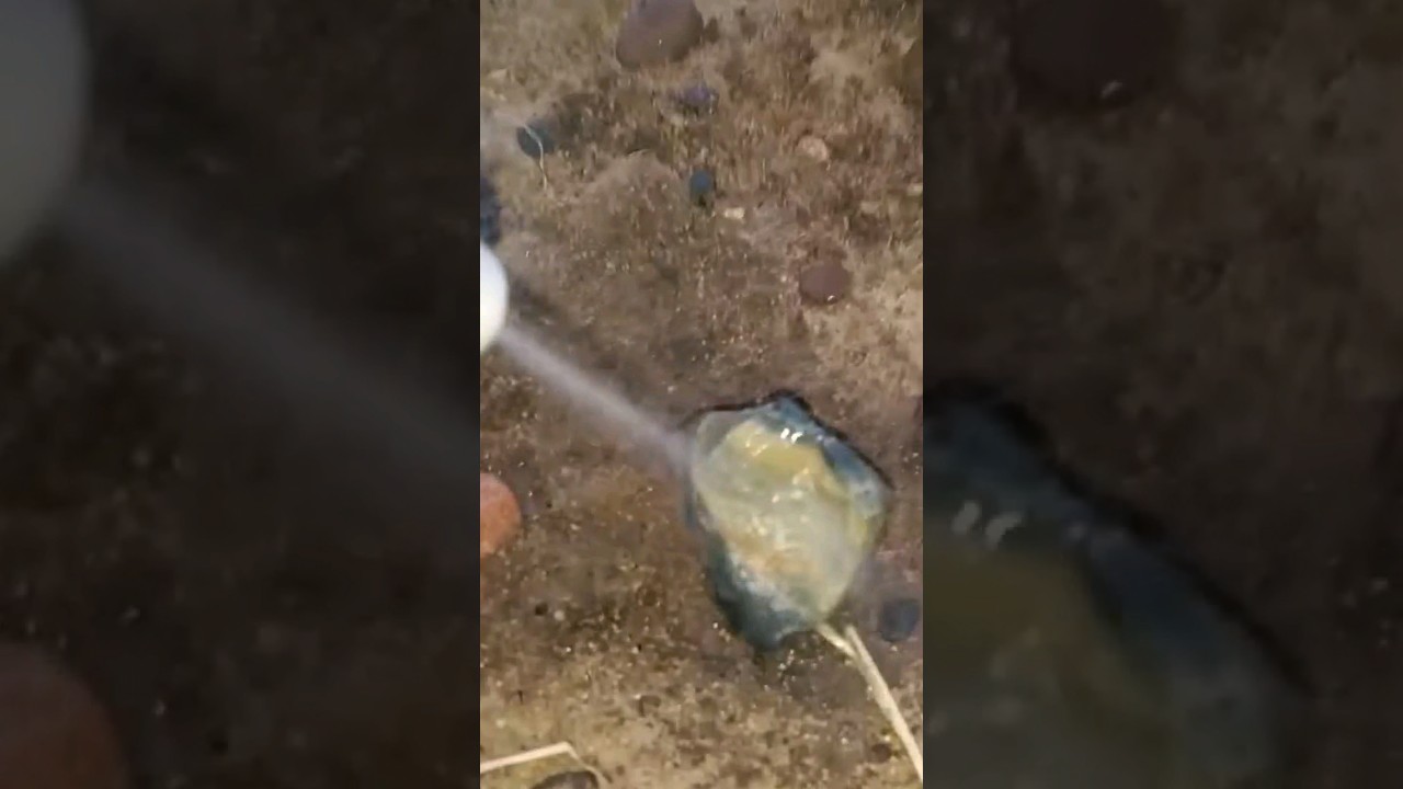 Rockhounding Adventures