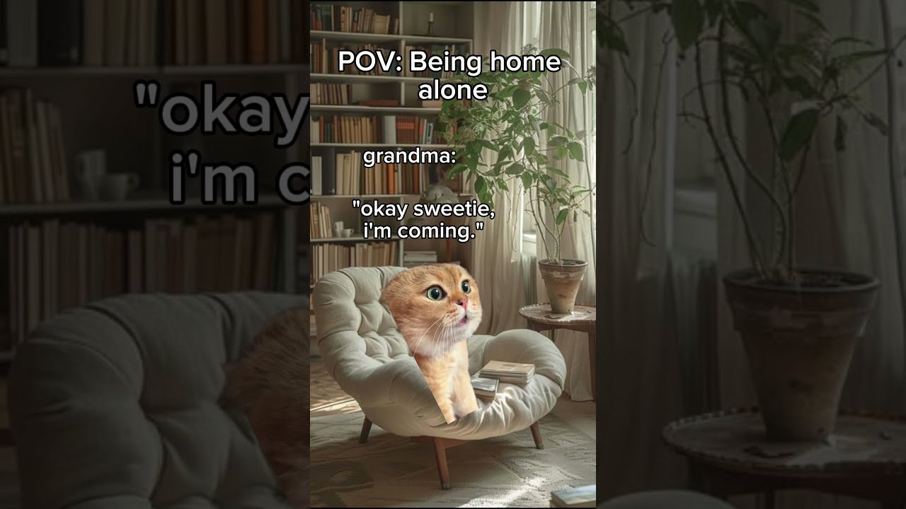 CATMEMES POV Being Home Alone 