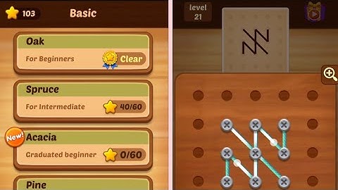 Line Puzzle 21-40 [Spruce] String Art