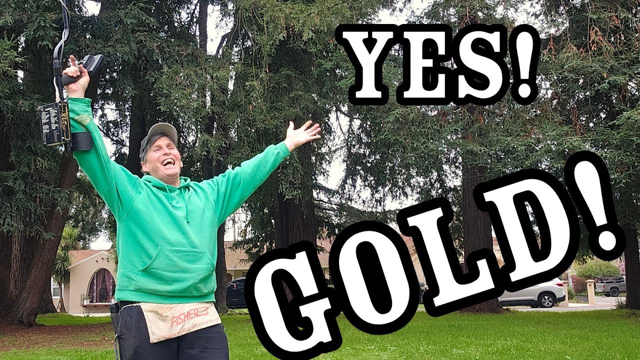 Мечта каждого любителя металлоискателей!