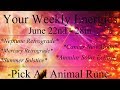 Weekly Forecast June 22nd - 28th ~ Pick An Animal Rune