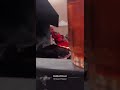 حي الشتاء استكنان