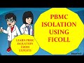 How to isolate pbmc from human blood  tips for isolating pbmc  pbmc isolation using ficoll