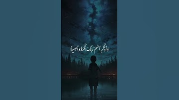 القرآن الكريم راحة نفسية تلاوة خاشعة حالات واتس اب قرآن كريم