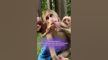 Метод рабочий, не благодарите 👌 #слёрм #shorts #юмор #kubernetes