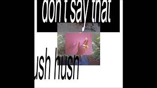 Hush Hush - Don't Say That