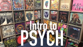 Intro to collecting Psych Vinyl