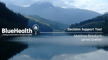 Walkthrough of BlueHealth Decision Support Tool