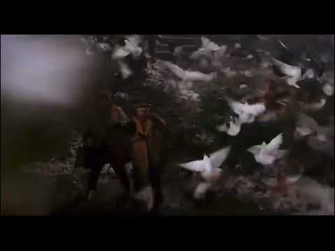 Home Alone 2: Lost In New York (1992) pigeon attack