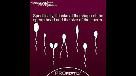 PROFERTIL® Knowledge Check | SPERM MORPHOLOGY - DayDayNews