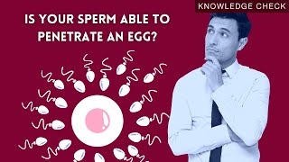 Profertil Knowledge Check Sperm Morphology