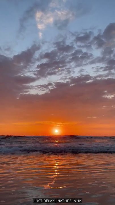 RELAXING SUN RISE | SUNSHINE | BEACH | NATURE SOUND | NATURE IN 4K #shorts #sunrise #asmr #sunshine