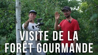 Visite EXCLUSIVE de La Forêt Gourmande 🌳