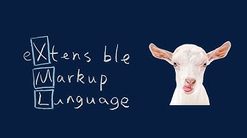 XML External Entity Injection Explained | EP1 | OWASP WebGoat