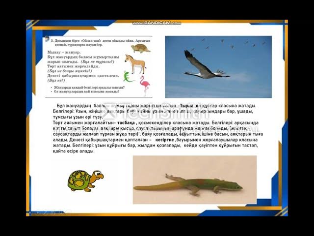 Порно Ольга Новосибирск Яна фотосы бар порно