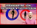 Wie kommt es bei MANN und FRAU zu VERÄNDERUNGEN von ÖSTROGEN und TESTOSTERON?