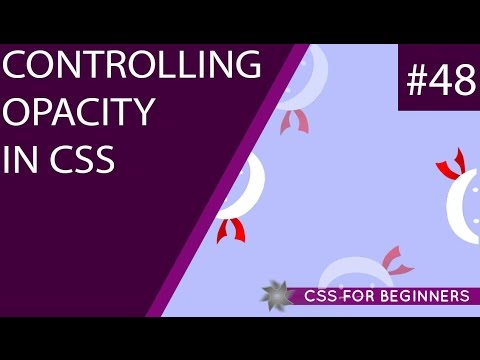 CSS Tutorial For