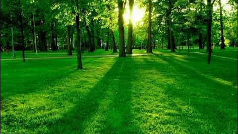 الشيخ . صابر عادل ما تيسر من اول سورة هود إلى الايه 49