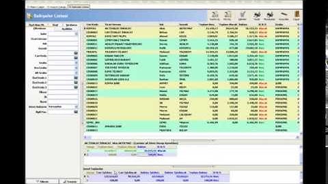 WOLVOX ERP programı cari bakiyeler listesi