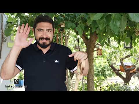 Κρητικό μπαστούνι φίδι