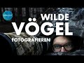 Geheimnisse der Vogelfotografie | Zeitweise Naturfotografie