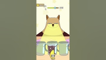 Cat Escape Level 244: Can You Find the Hidden Kitty? 🐾