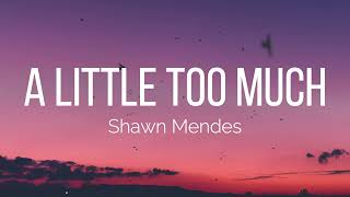 Shawn Mendes - A Little Too Much (Lyrics)