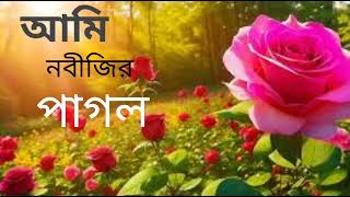 নবীর প্রেমে সেরা গজল - আমি নবীজির পাগল।। Ami nobijir pagol - singer kamal uddin